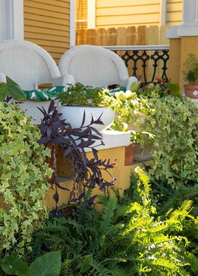 Auld Sweet Olive Bed And Breakfast Nova Orleães Exterior foto