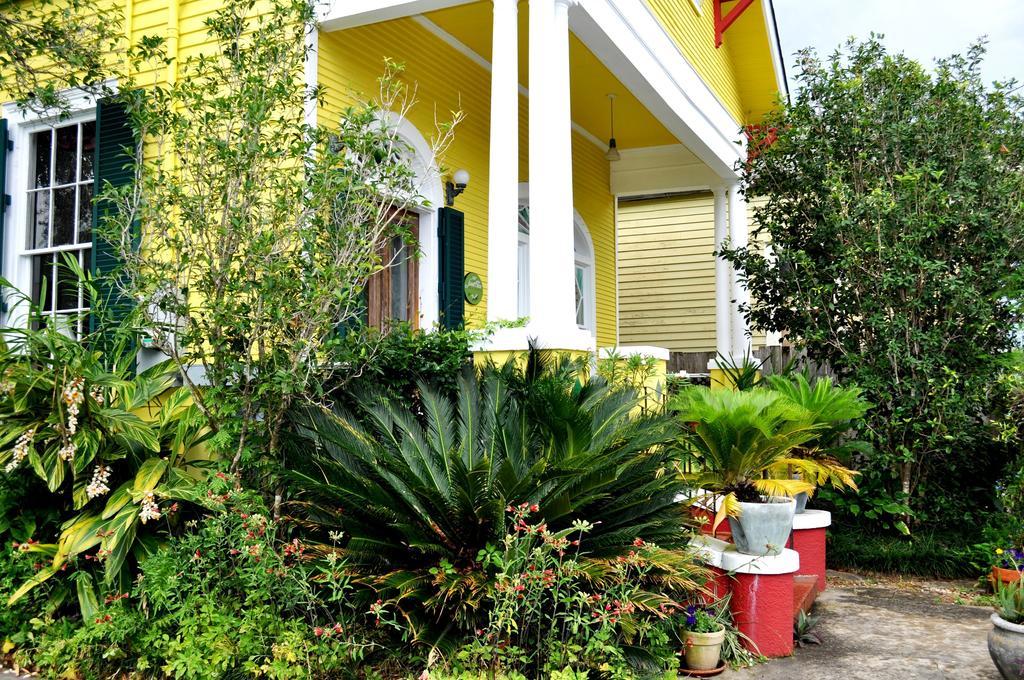 Auld Sweet Olive Bed And Breakfast Nova Orleães Exterior foto