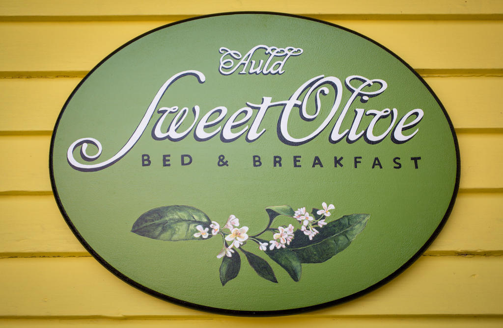 Auld Sweet Olive Bed And Breakfast Nova Orleães Exterior foto
